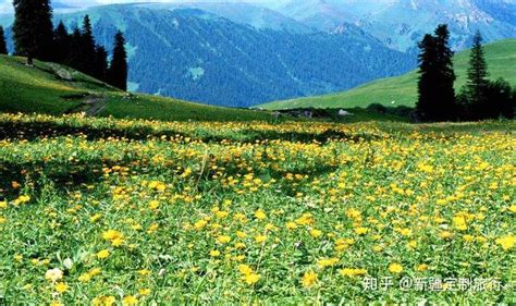 不来新疆，不知新疆之大，不看新疆，不知新疆之美