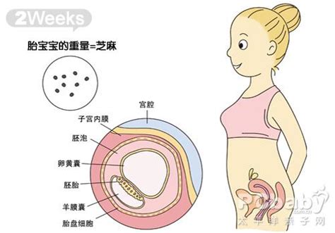 怀孕40周还不生怎么回事