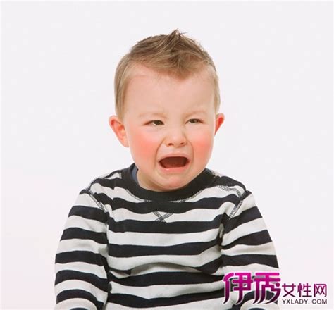 孕妇梦到小黄狗生小狗