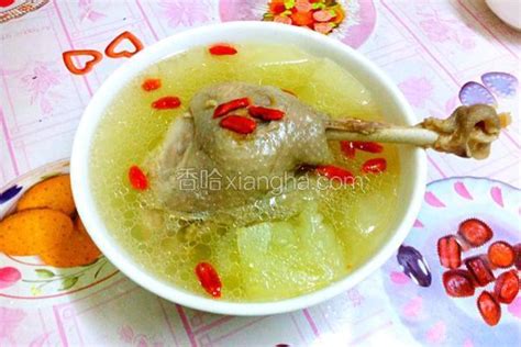 美味的鹅汤_描写食物的作文500字[共计4则]