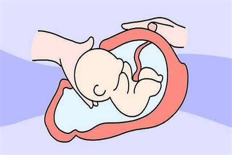 怀孕期间孕妇专门拥有的特殊权利, 你享受过几条
