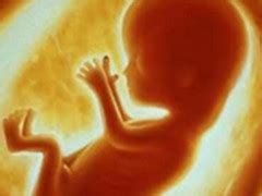 6个月b超图看胎儿识别方法