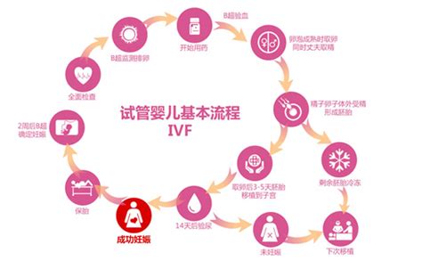 试管和自然受孕哪个更困难