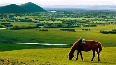 内蒙古有那些著名草原