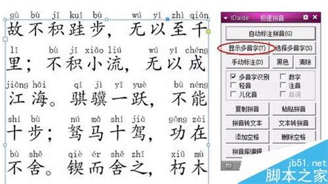 有没有显示拼音的软件？