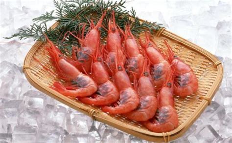 北极虾多少钱一斤
