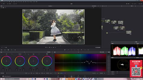 求Davinci Resolve 9.0(达芬奇)MAC破解版?