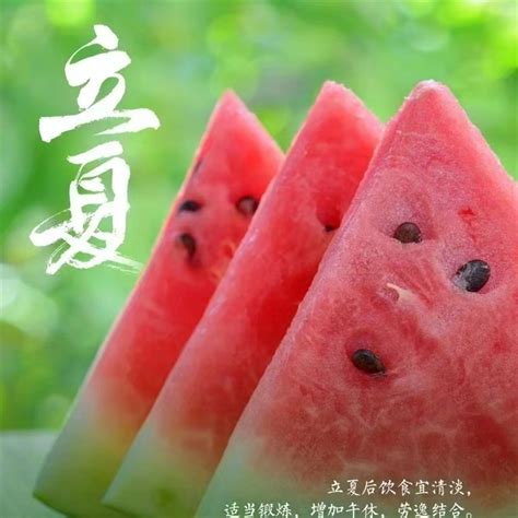 描写立夏的优美句子短句