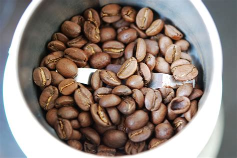 现磨咖啡豆怎么煮