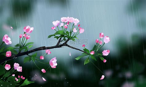 谷雨节感言短句（精选113段）