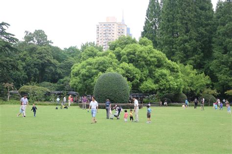 中山公园-关于公园作文350字[汇总5则]