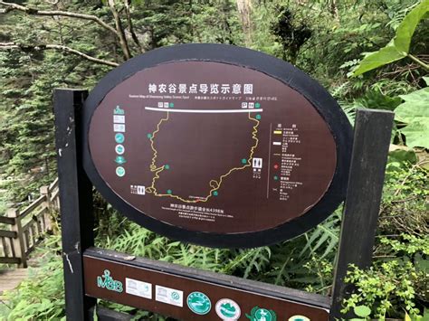 美丽的神农谷-写景作文600字[摘抄4则]