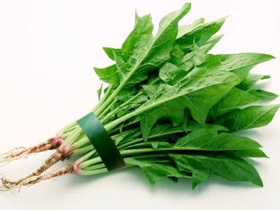 6种错误饮食观细细瞧