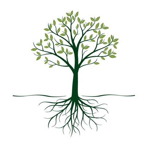 树枝和树根-想象作文400字(共计6则)