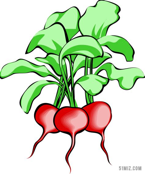 甜菜-植物作文700字[共9则]