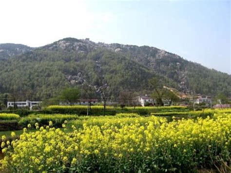 家乡的美景的句子简短