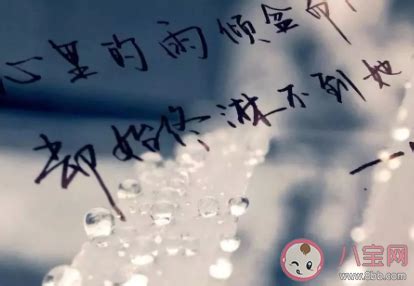 下雨的句子【通用77句】
