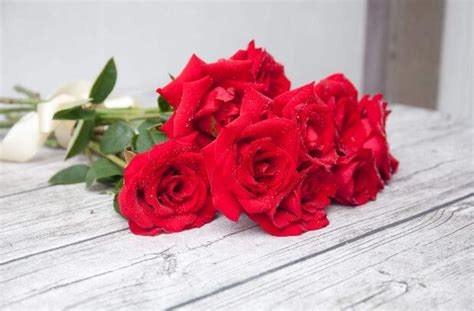 红玫瑰与粉玫瑰比谁的介值更高