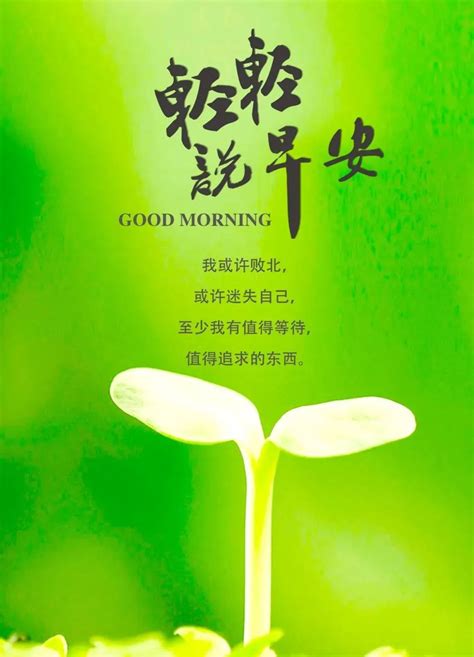 微信我的状态正能量句子