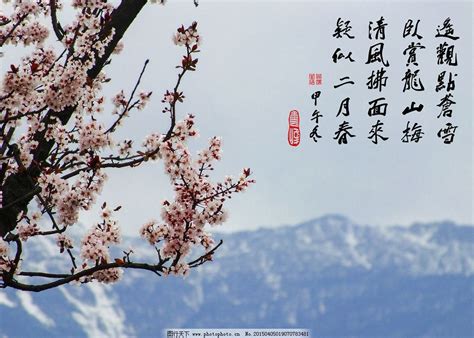 诗句精选大全【推荐82句】