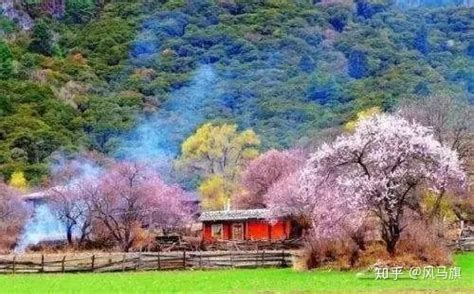 春天有那些旅游地方?
