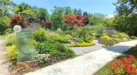 花坛、花境的植物用哪些?