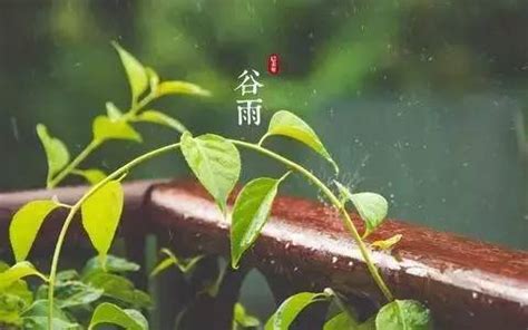 谷雨节气的著名诗句