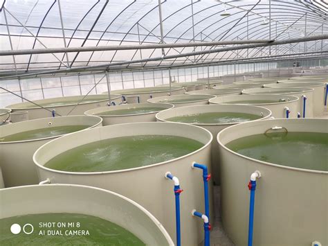 参观水产养殖基地-叙事作文200字【摘抄7则】