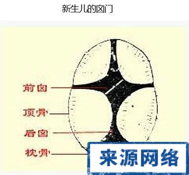 七个月宝宝囟门