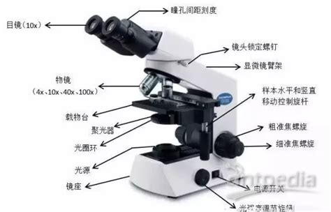 显微镜的各部分名称及作用