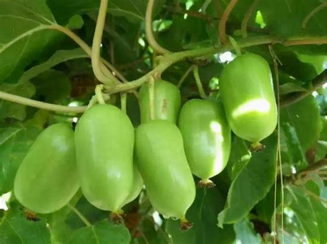 多与孩子聊天玩耍会有让你意想不到的结果