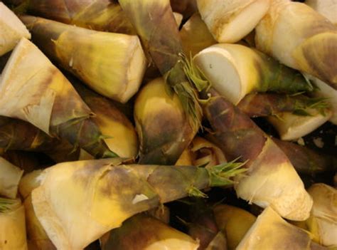 咳嗽有痰能吃什么菜家常的