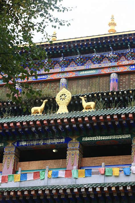 它是青藏高原上唯一的也是世界上唯一的一个藏王寺院