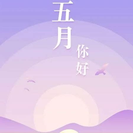 五月美好的句子（共计76条）