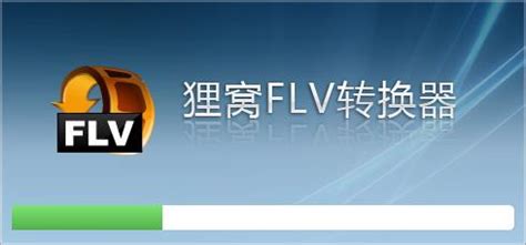 我有一个MP4说支持AVI,AMV等格式,但要转换,是什么意思