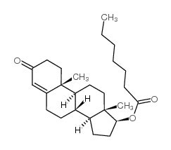 男性睾酮正常值参考表