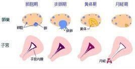 宫颈刮片时出血是什么原因