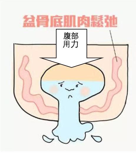 产妇形体训练服务规范