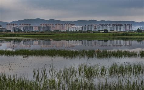 山西广灵：湿地颐养 塞上水城