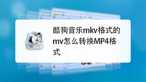 MKV是什么意思?