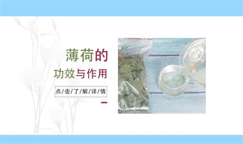 薄荷的功效?