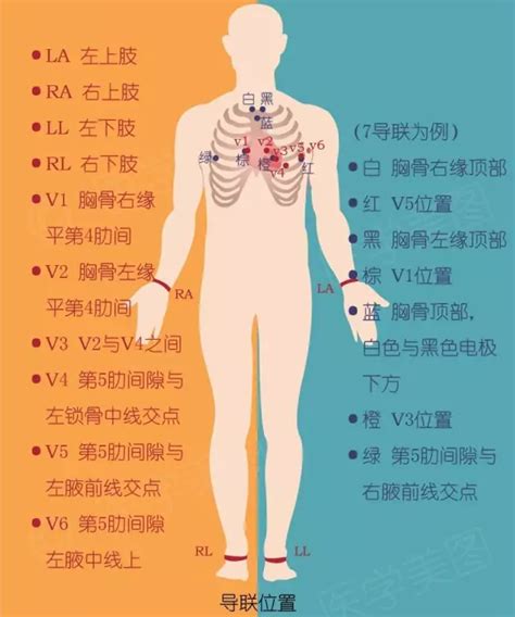 动态心电图可以取代普通心电图吗