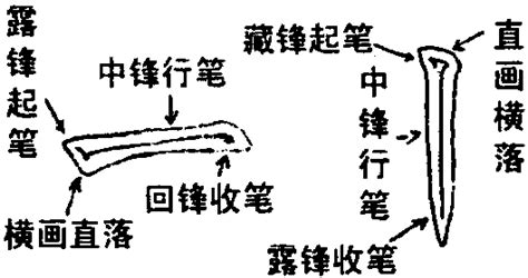 怀孕知识大全及讲解