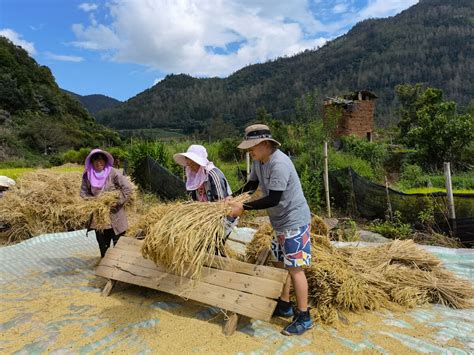 月下遐思_写景的作文200字(精选5篇)