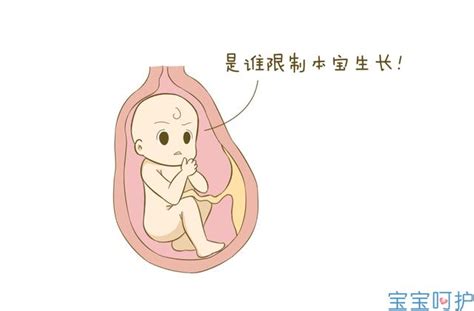 孕28周胎儿腹围多少正常范围