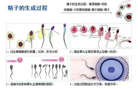 常见的孕妇高危因素有哪些