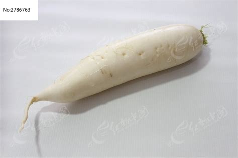 搞笑的白萝卜-描写蔬菜的作文350字(经典5则)