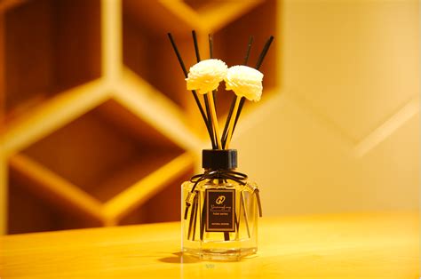 香薰燈除了能放精油,還能不能放香水和花露水呢?