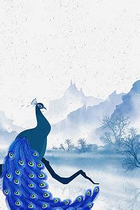 孔雀唯美句子短句【集锦109条】