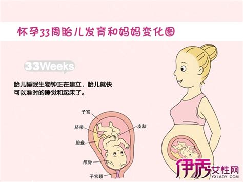 怀孕5个月胎儿胎动明显
